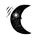 Un jour, un poil : Les aventures d'une humaine poilophobe